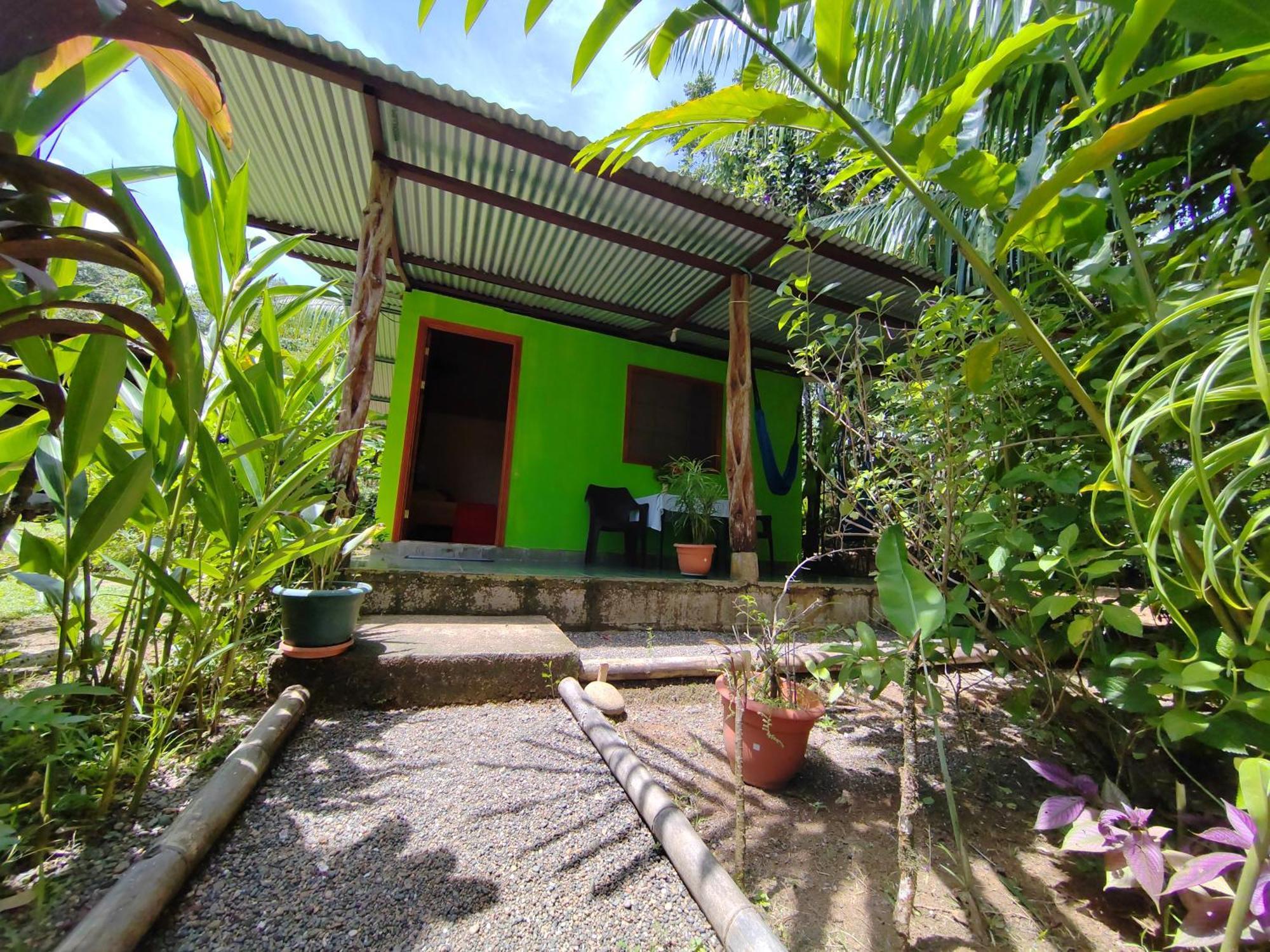 Garden Of Heliconias Lodge Drake Bay Exterior foto
